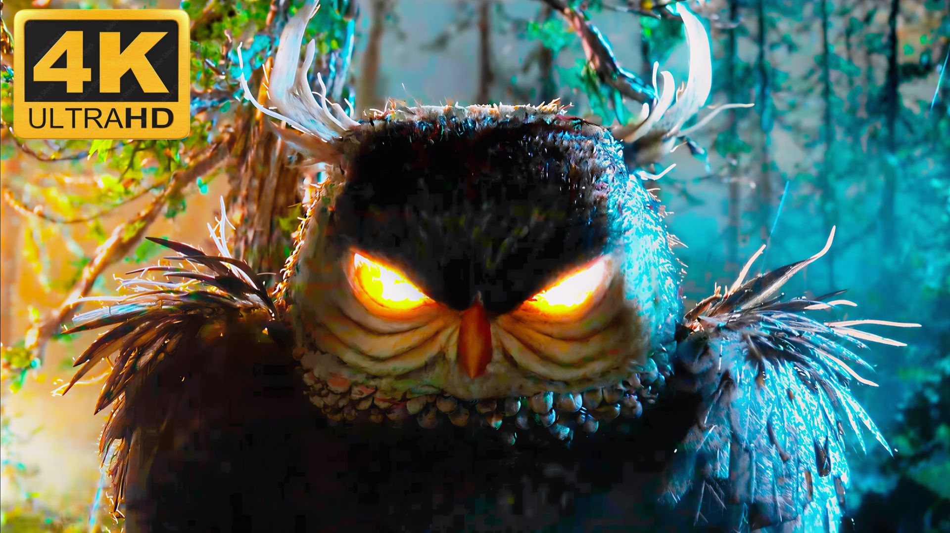 🌳Дикий лес🌳(4К Дубляж) смотреть онлайн