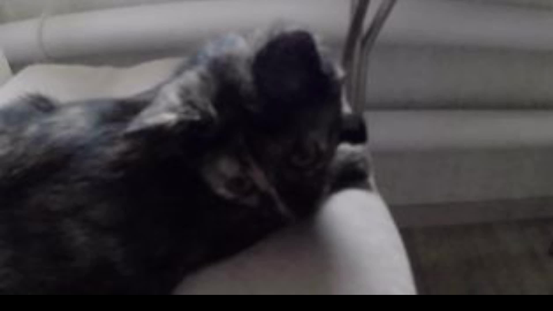 я рисую и общаюсь смотреть онлайн