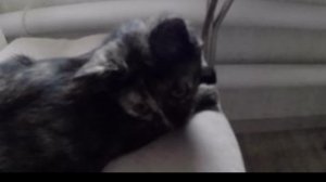 я рисую и общаюсь