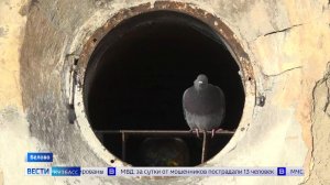 Проблем ещё больше: почему на Тельмана, 1 в Белове никто не занимается трубами и потолком?