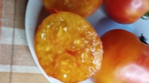 Каталог томатов на 2026 год. Часть 2. г. Киров  т. 89229284031