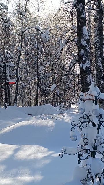 Прогулка в полдень ❄️❣️