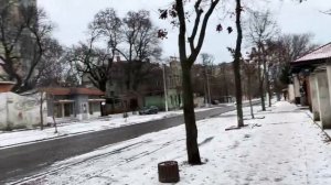 ОДЕССА 6 ФЕВРАЛЯ 2026. ВСУ УДАРИЛИ ФЛАМИНГО ПО КАПУСТИНУ