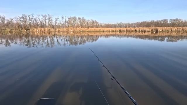 Первая зимняя рыбалка на крупного карася