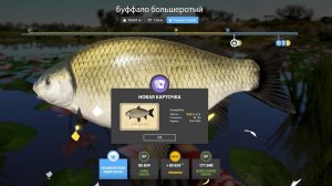 2 СИНЯКА ЗА ЧАС НА АХТУБЕ, НОВЫЕ ФАРМЫ НА МЕДНОМ И ЯМЕ, РАЗДАЧИ НА СУРЕ В РУССКОЙ РЫБАЛКЕ 4 РР4