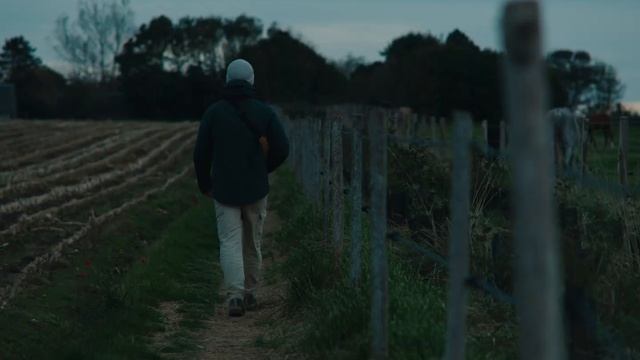 Cold Nights смотреть онлайн