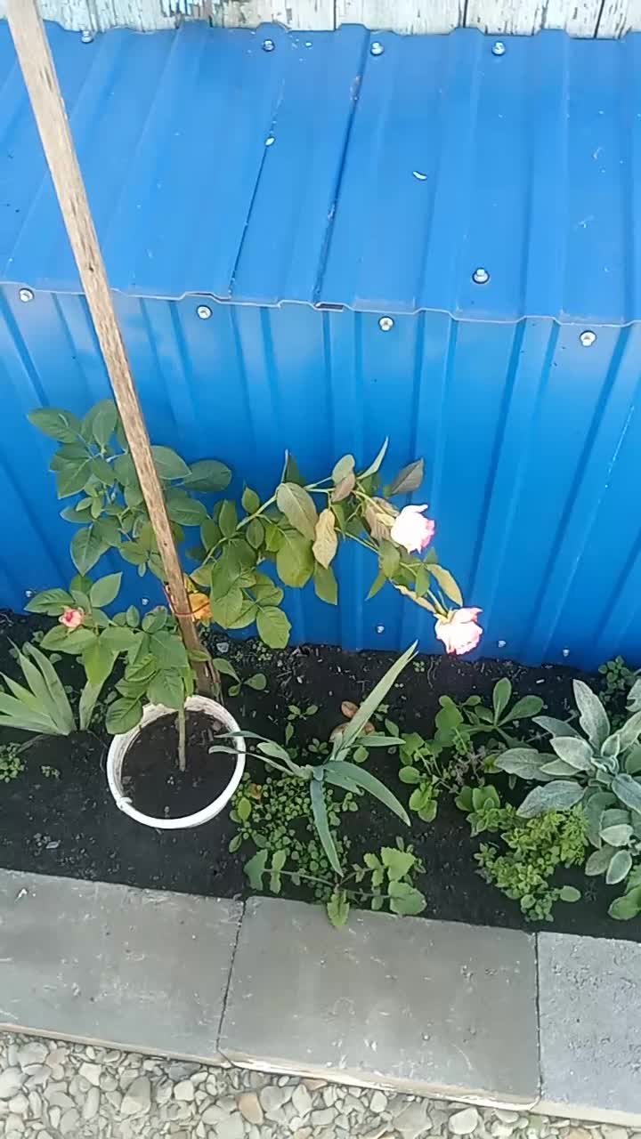 Всем привет. Сегодня не про помидоры, не про дыни, и даже не про термоукрывной материал. Сегодня …