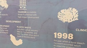 Сокотра, что нашли в океане, то и едим, остаться в живых