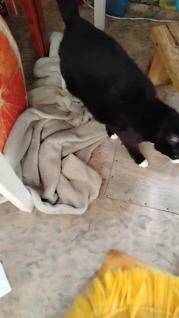 Солнечные ванны