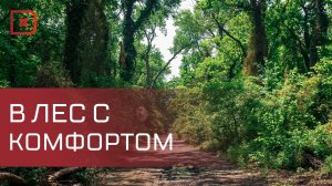 Скоро путь к уникальному Самурскому лиановому лесу станет быстрым и безопасным