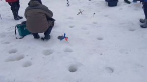 Зарыбление водоёма и немного поимок форели.