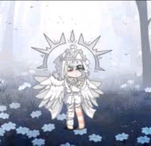 Ибрай В твнки