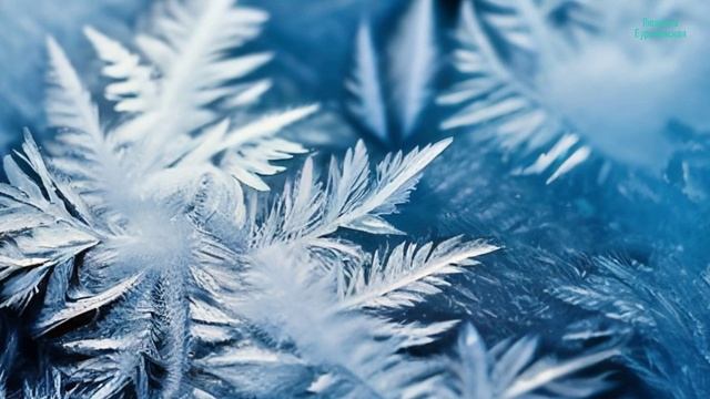 Февраль лютует —Автор Людмила Бурачевская,musik al-канал Музыка Любви и Надежды.