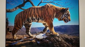 Фестиваль "Первозданная Россия" знакомит с самыми удаленными уголками нашей страны.