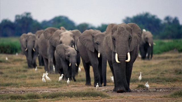 Pardonne-moi ce caprice d’enfant