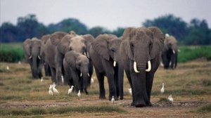 Pardonne-moi ce caprice d’enfant