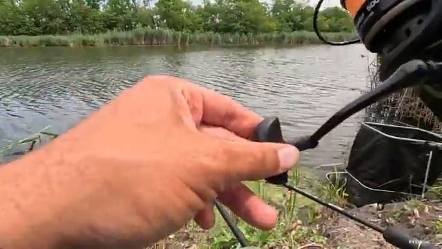 Карась на Pop Up из под камыша, рыбалка с кормушкой флэт фидер