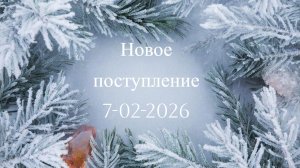 Новое поступление 7-02-2026