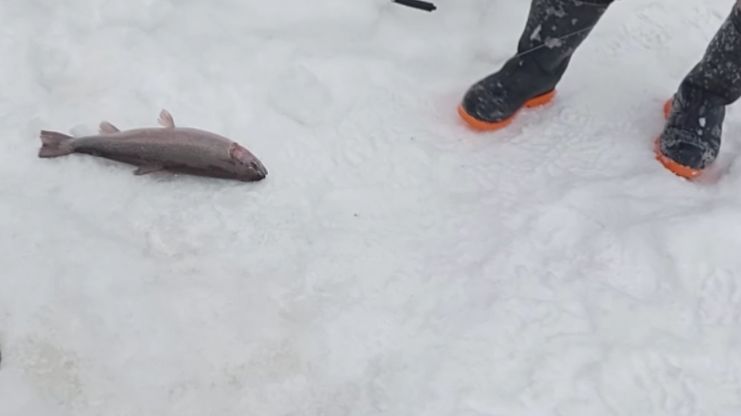 Один в поле воин. Рыбалка на Спорт-зоне. Клёвое место Лосиный остров. смотреть онлайн