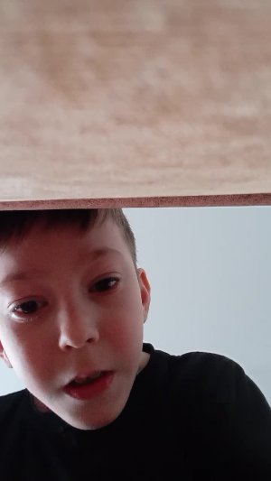 играем растения против зомби 2