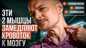 Тяжесть в голове и туман? Освободите шею — вернётся ясность и концентрация!