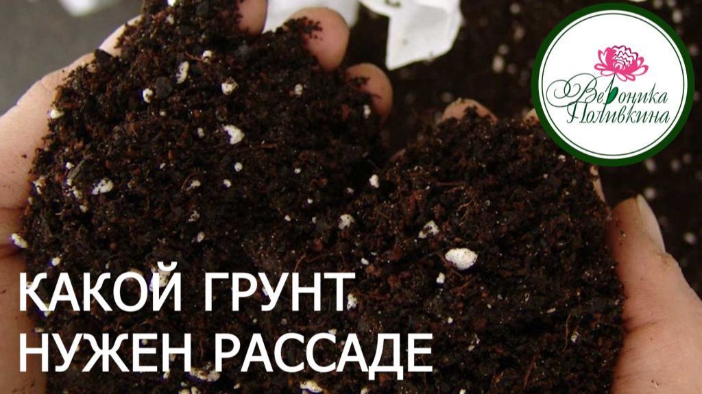 ЛУЧШИЙ ГРУНТ ДЛЯ РАССАДЫ смотреть онлайн