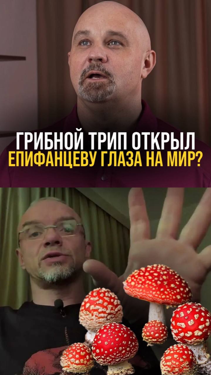 Как мухоморы изменили актера Епифанцева? смотреть онлайн