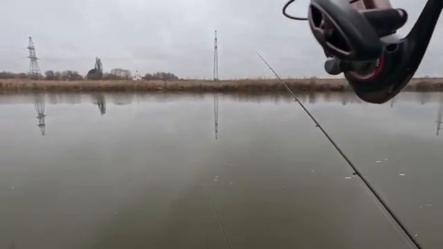 Рыбалка на флэт фидер ловля карпа зимой по холодной воде