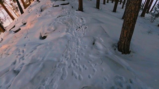 Релакс прогулка Релакс прогулка