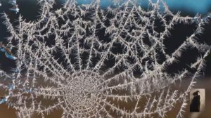 Песня  "Гордость" (Эва Шервуд)