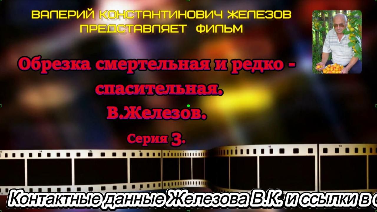 Обрезка смертельная и редко - спасительная. В.Железов. Серия 3. смотреть онлайн