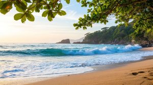 Всплеск прилива