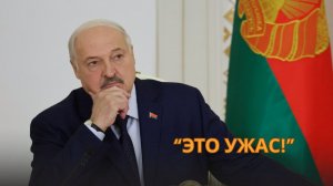 Лукашенко: Да куда нас, "тоталитарное" государство, с "демократической" Украиной сравнивать?!