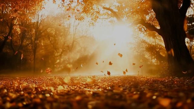 Лучшие годы, как говорят