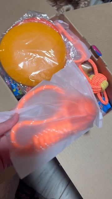 Игрушки для собак