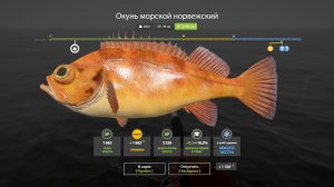 Русская Рыбалка 4-Новогодние Экстра Задания 2026: Окунь морской норвежский Норвежское море