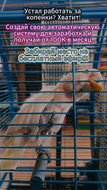 Как я заработал в интернете первые 30К за неделю без опыта