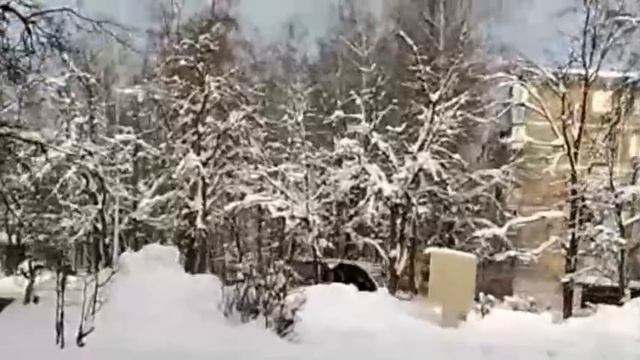 МОЙ ПОСЛЕДНИЙ ВИДЕООТВЕТ НА НЕКОТОРЫЕ ВИДИО-ОТВЕТЫ И НОВОСТИ РУТУБА смотреть онлайн