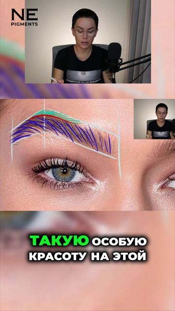 Как рост волосков формирует излом и характер брови #перманентныймакияж #татуаж #еленанечаева #пм