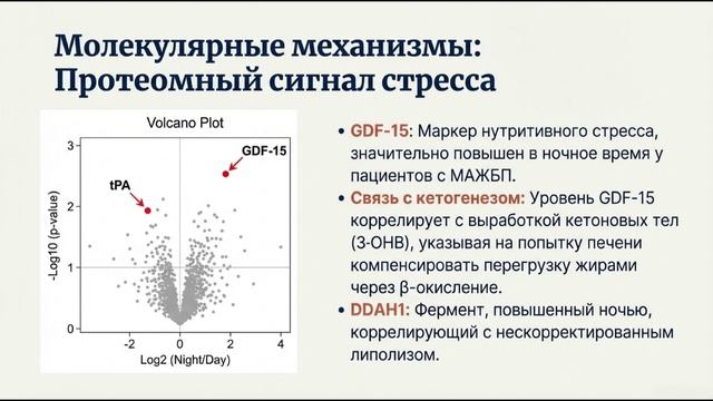 Ночью MASLD печень превращается в фабрику жира: не есть много на ночь, физнагрузка и хрономедицина!