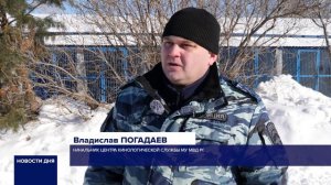 ОРЕНБУРГСКИЕ СЛУЖЕБНЫЕ СОБАКИ ИЩУТ НОВЫЙ ДОМ