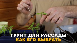 ВЫБИРАЕМ ГРУНТ И УДОБРЕНИЯ ДЛЯ ИДЕАЛЬНОЙ РАССАДЫ. Грунт и удобрения для крепкой рассады.
