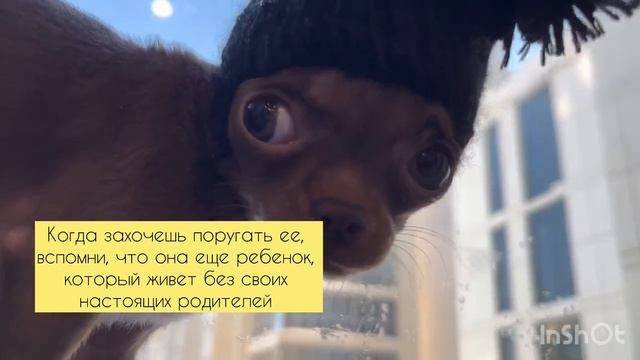 Когда захочешь поругать ее… Когда захочешь поругать ее…