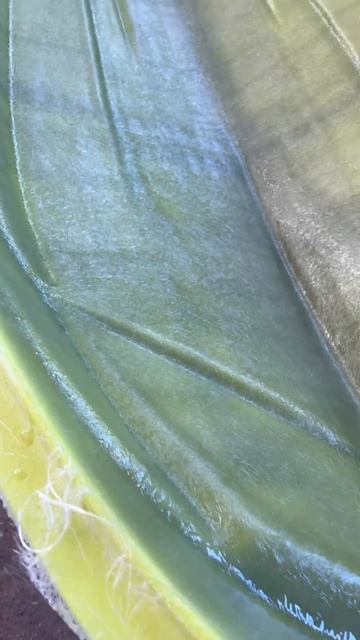 Формуем очередной корпус