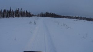 Дедушка Scandik Дорога домой