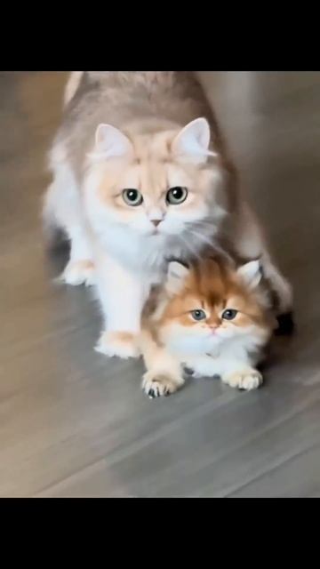 Мама не позорь меня я уже взрослый