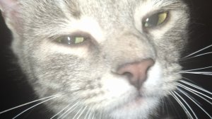 СП Добиваю недовязы 5/2026 Отчёт 6 с Мариной Стоговой