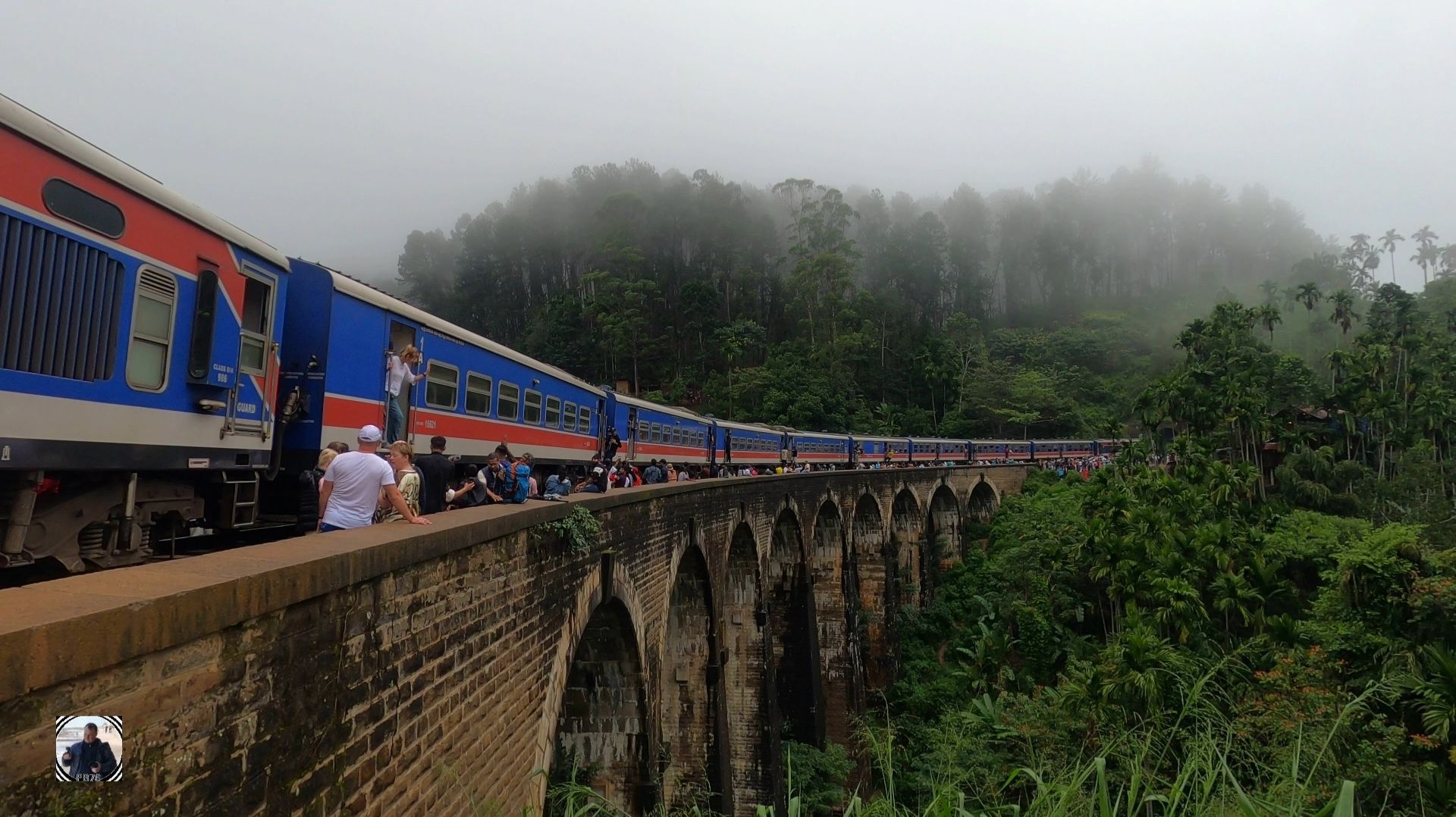 Девятиарочный мост, встречаем поезд, пиявки! Шри-Ланка, Январь 2025 #шриланка2025 #девятиарочныймост