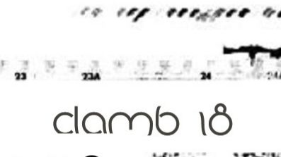 • ● Clamb 18 (13) ● •
