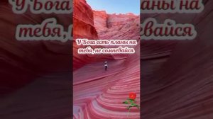 VID_20260206_061129_092.mp4